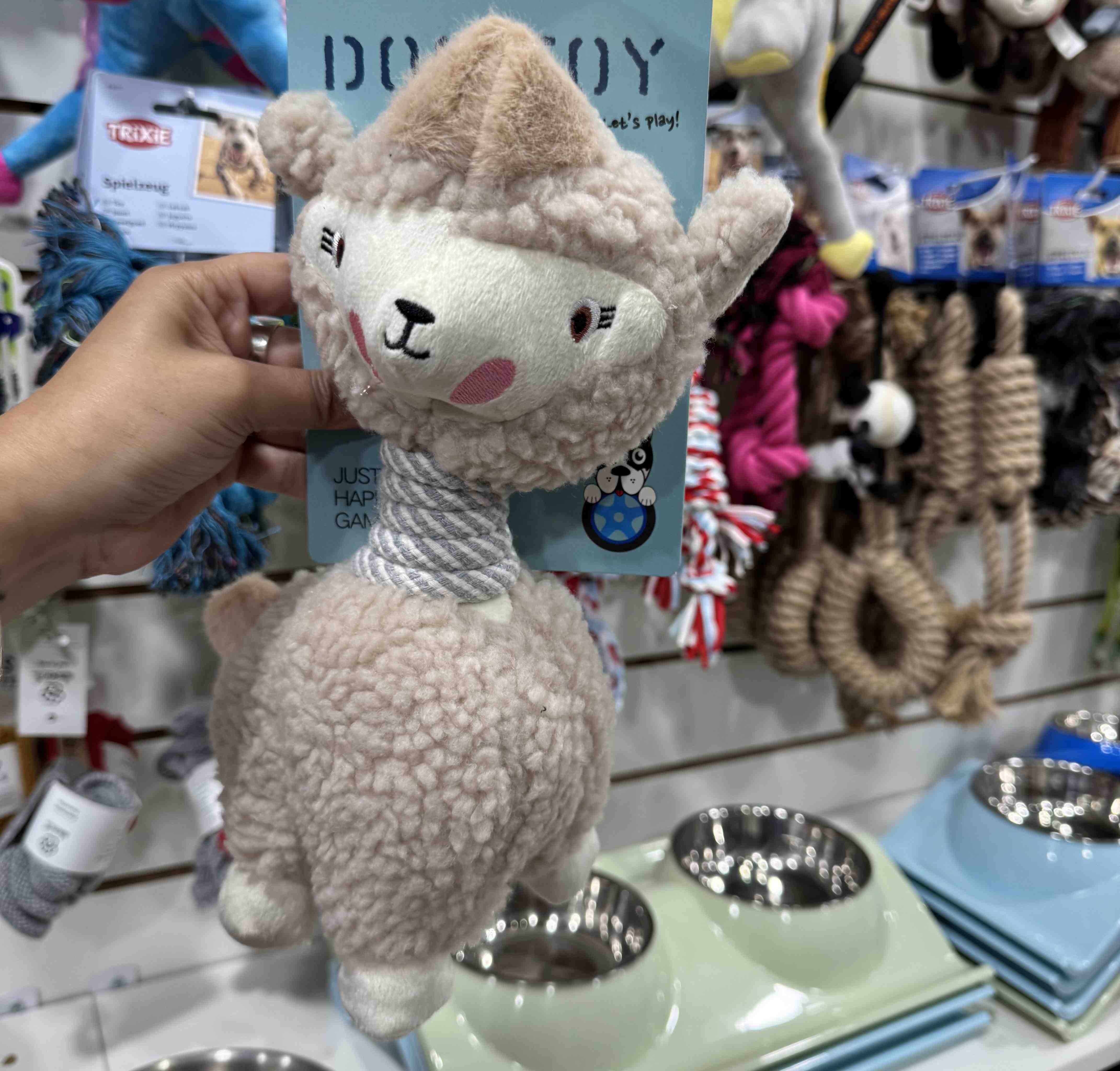 COOL03 ALPACA