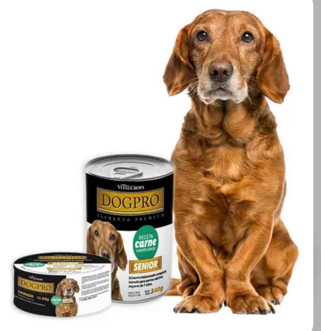 LATA DOG PRO PERRO SENIOR SABOR CARNE X 340