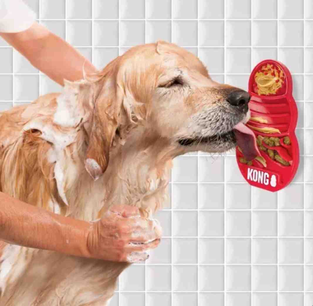 KONG  LICKS TALLE L 