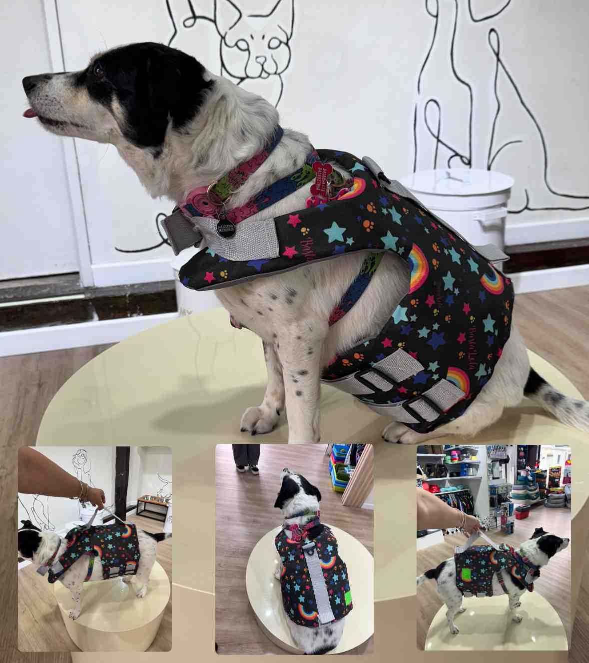 SALVAVIDAS BASTA LOLA T 0 consultar estampa