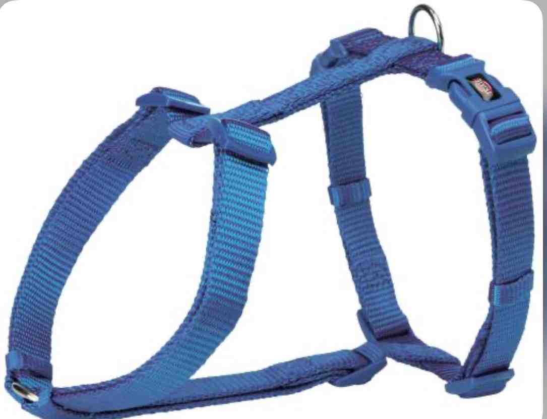 203402 TRIXIE  PRETAL H M-L  AZUL