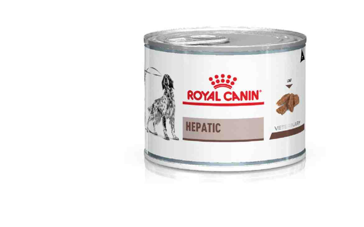 LATA ROYAL HEPATICO 