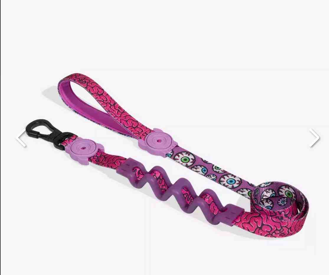 CORREA RUFF BRAIN S