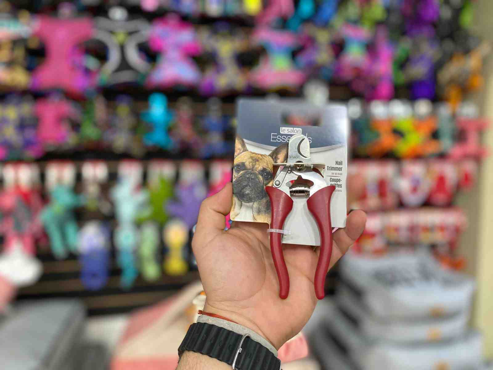 ALICATE 91255  LE SALON  