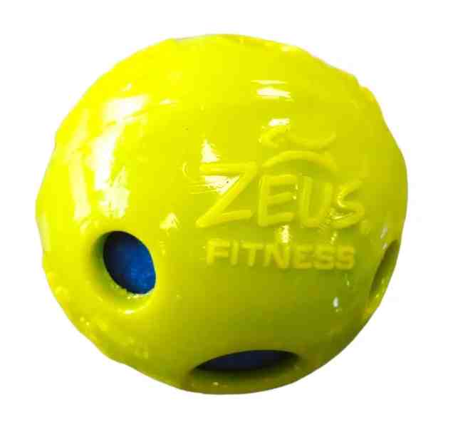 96364 K9 FITNESS PELOTA  TPR