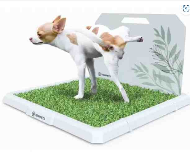 BANDEJA TONIPETS MACHO MEDIANA  48X48X3CM