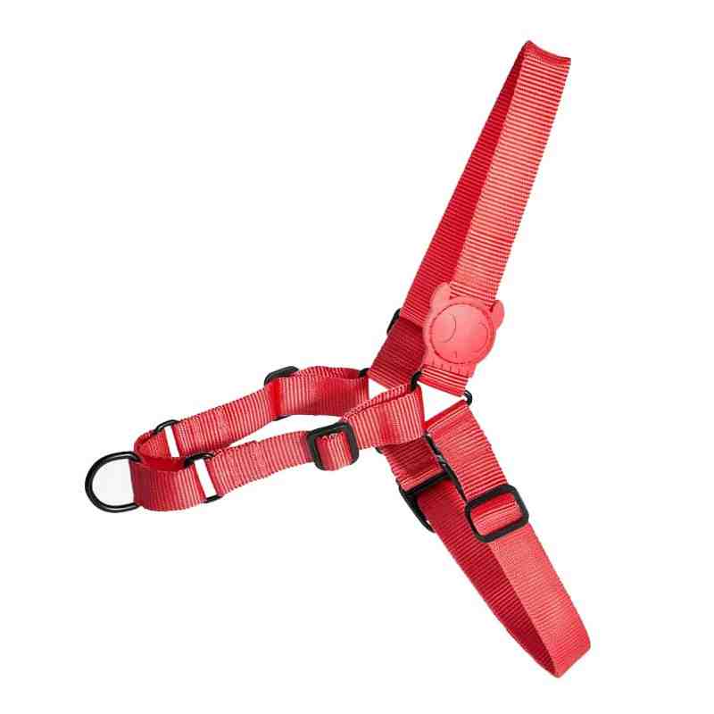 ANTITIRON  NEON CORAL L 